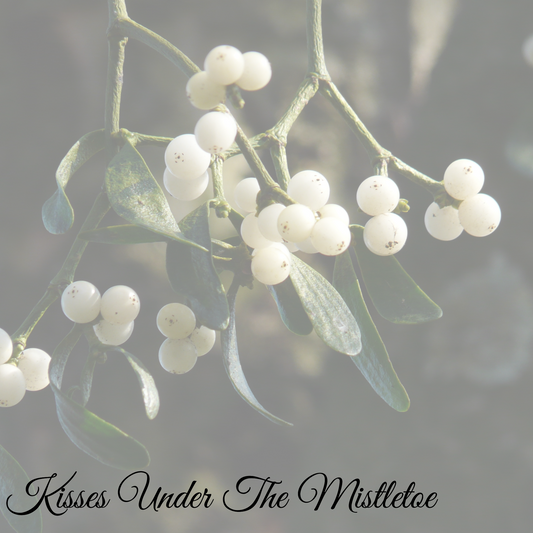 Kisses Under the Mistletoe- Holiday Room/Car/Linen Freshener