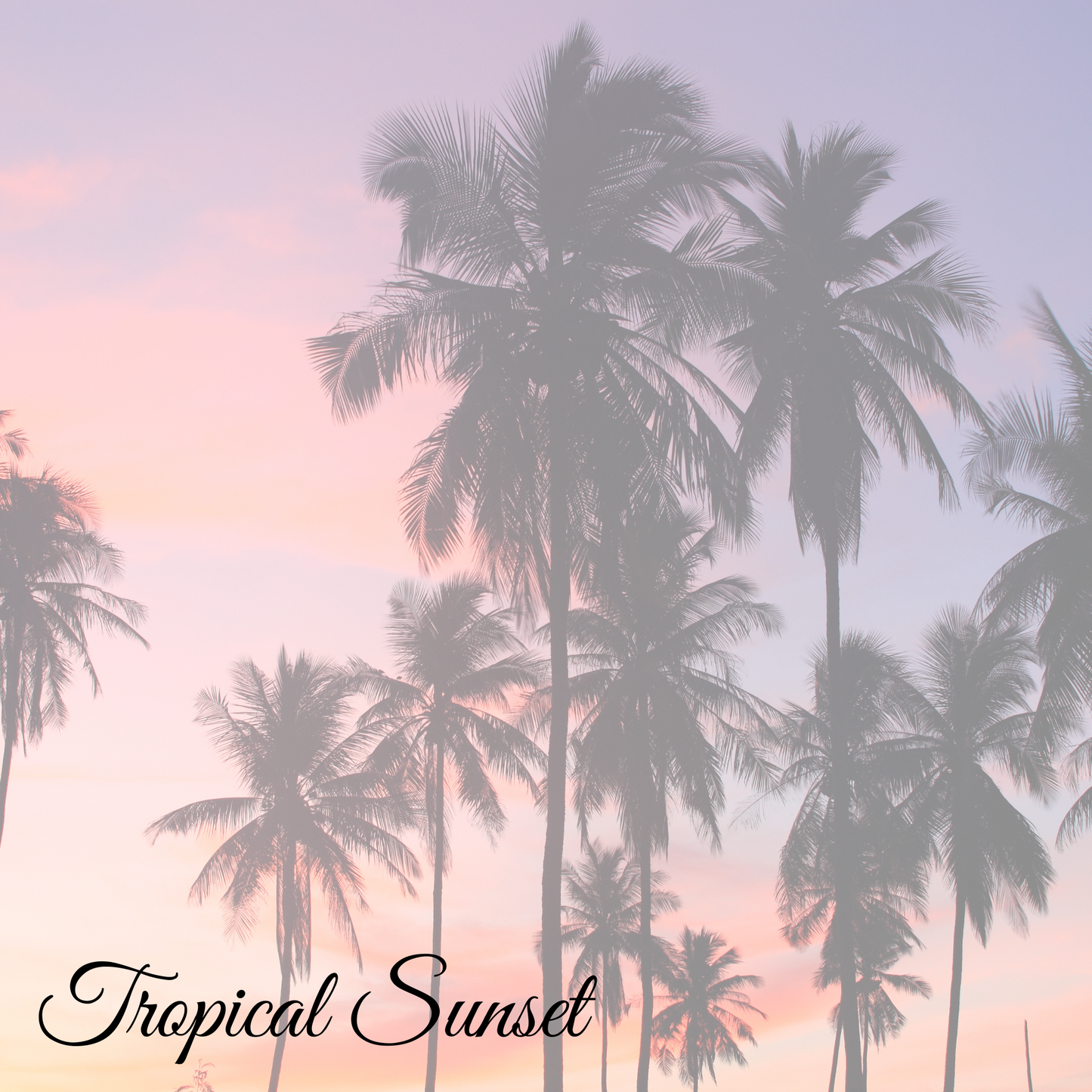 Tropical Sunset-Carpet Freshener