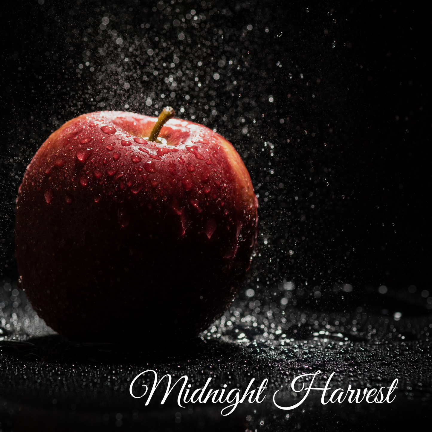 Wax Melt Discovery Sets